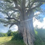 When Death is Nearby